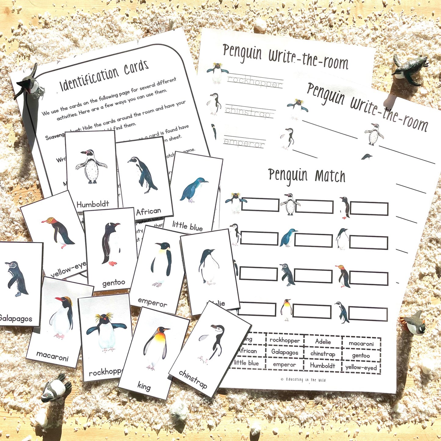 Penguin Unit Study