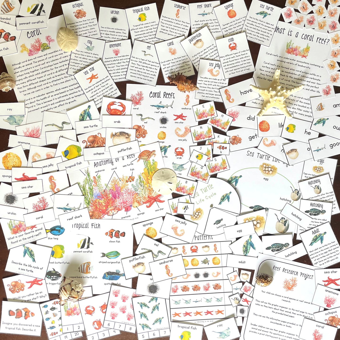 This unit includes science, math, and language arts activities, as well as crafts, recipes, and games.