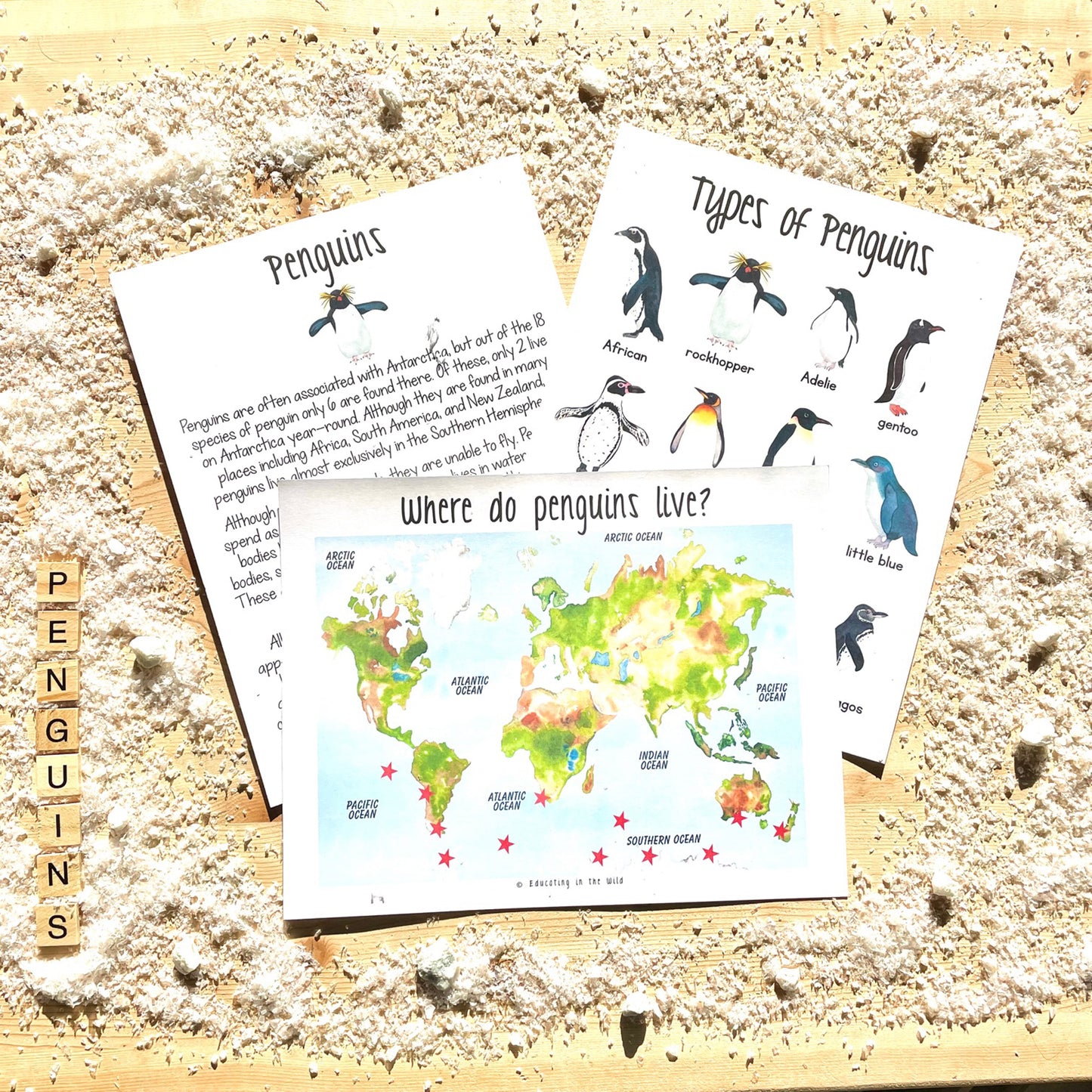 Penguin Unit Study