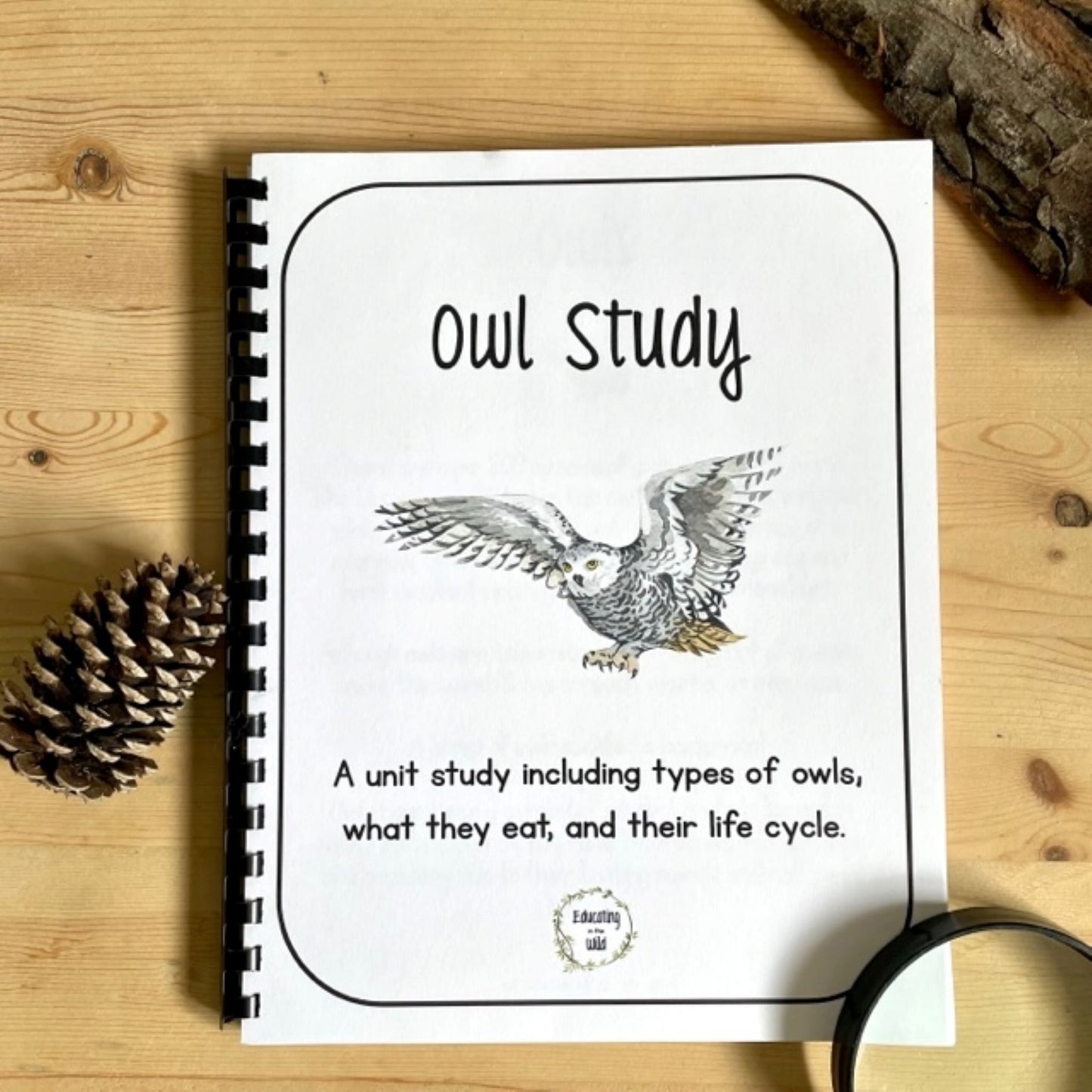 Owl Unit Study