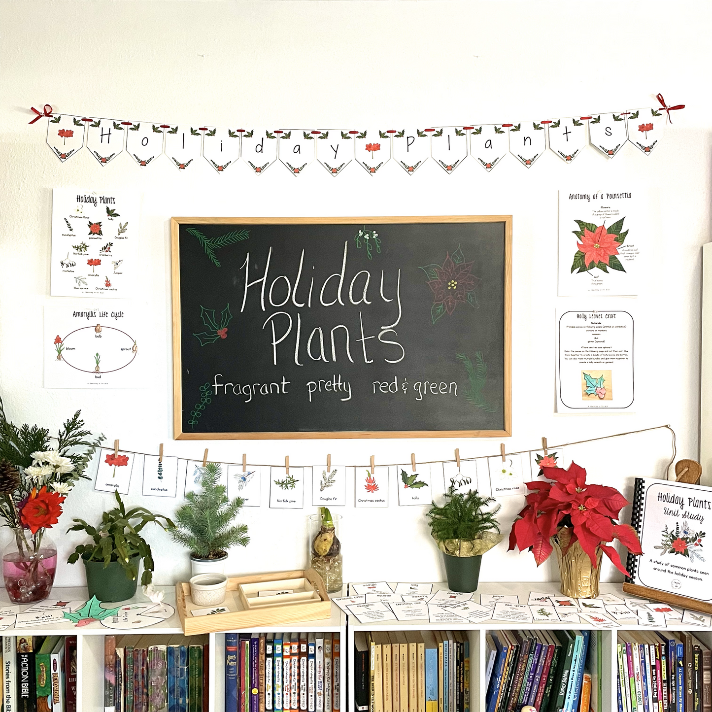 Holiday Plants Unit Study
