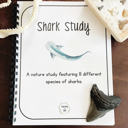 Shark Unit Study
