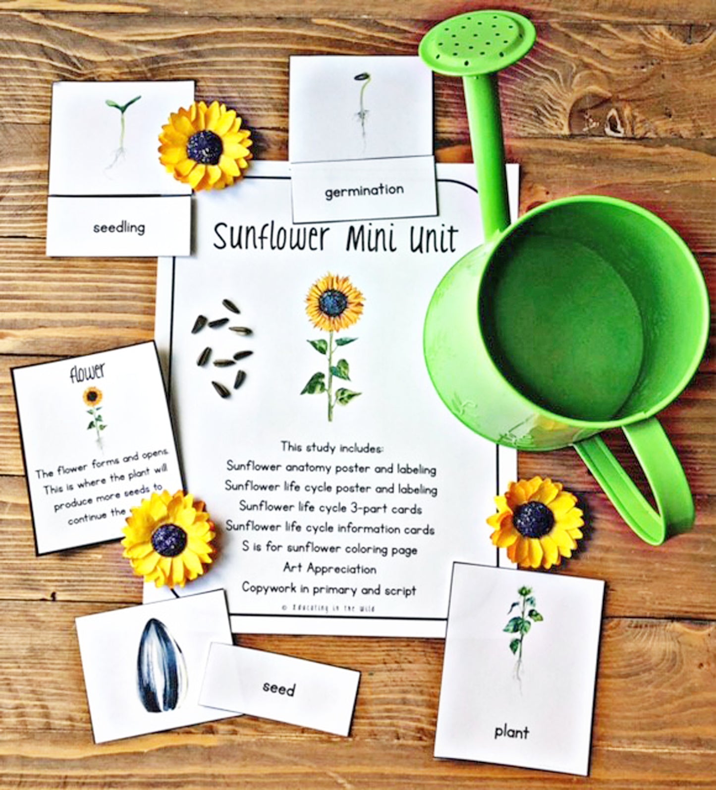 Sunflower Mini Unit