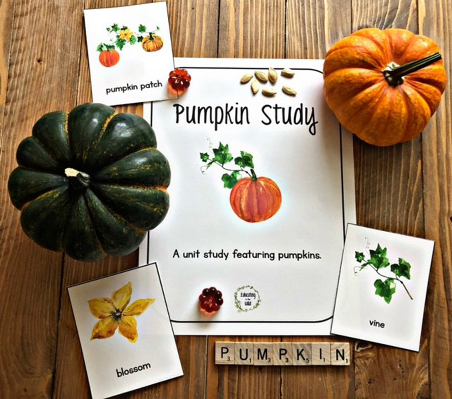 Pumpkin Unit Study