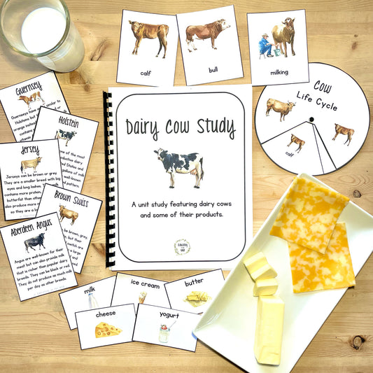Dairy Cow Unit Study