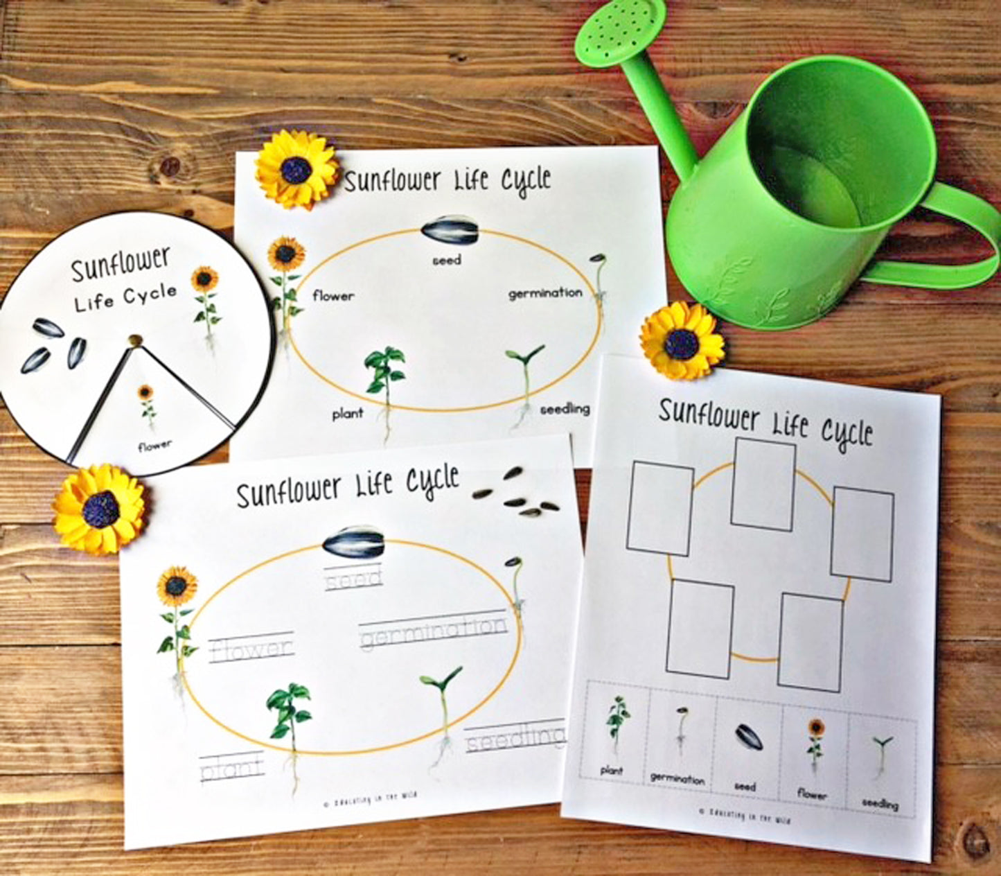 Sunflower Mini Unit