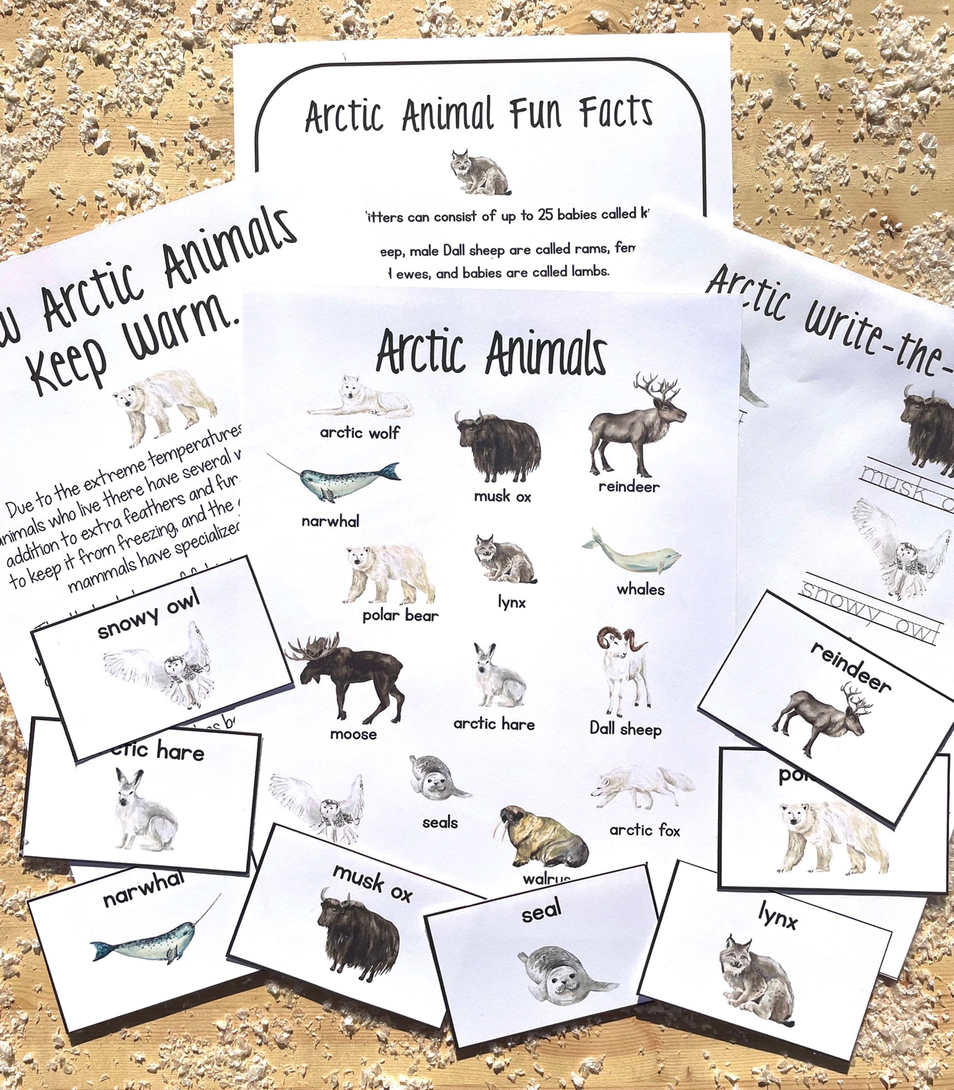 Arctic Animals Unit Study and Printables