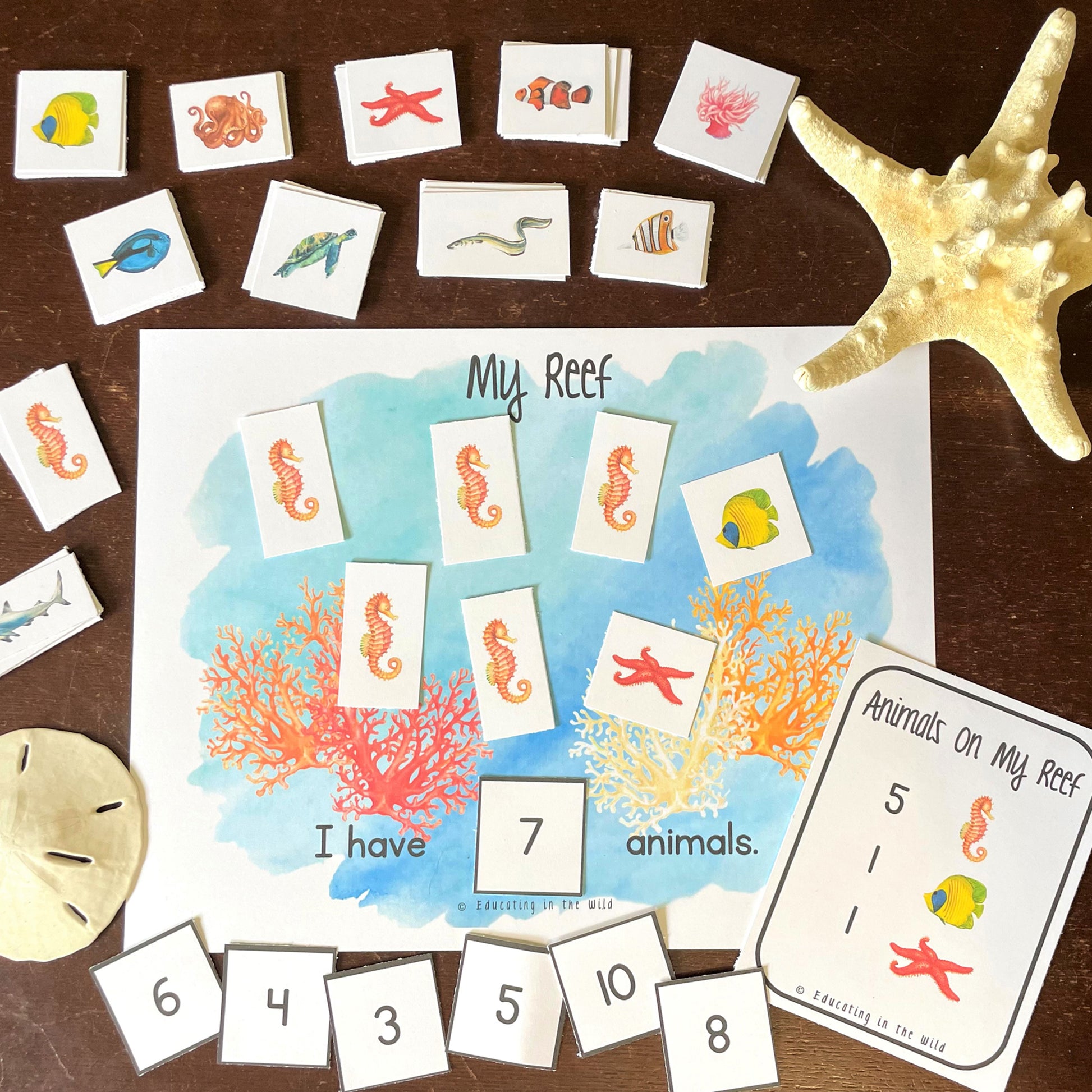 Coral Reef Unit Study